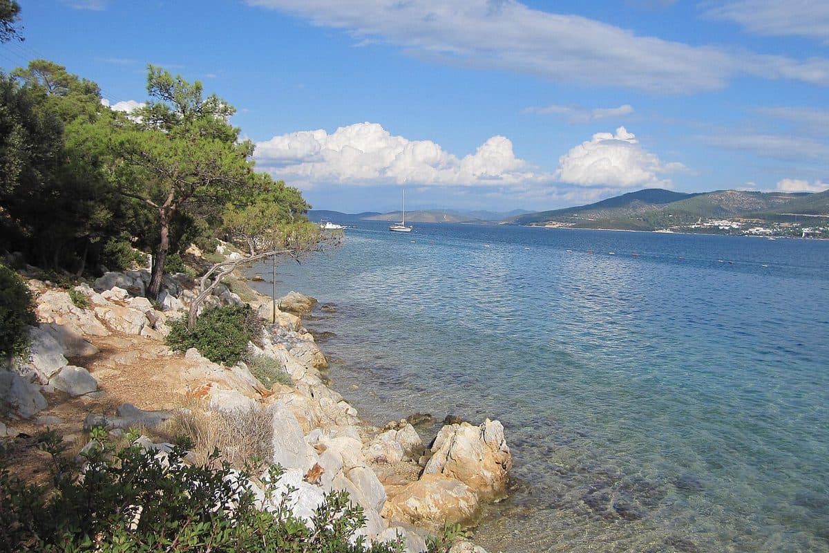 Torba Transfer ab Bodrum Airport: Ankunftsguide (30 Minuten) — WeCare Transfer