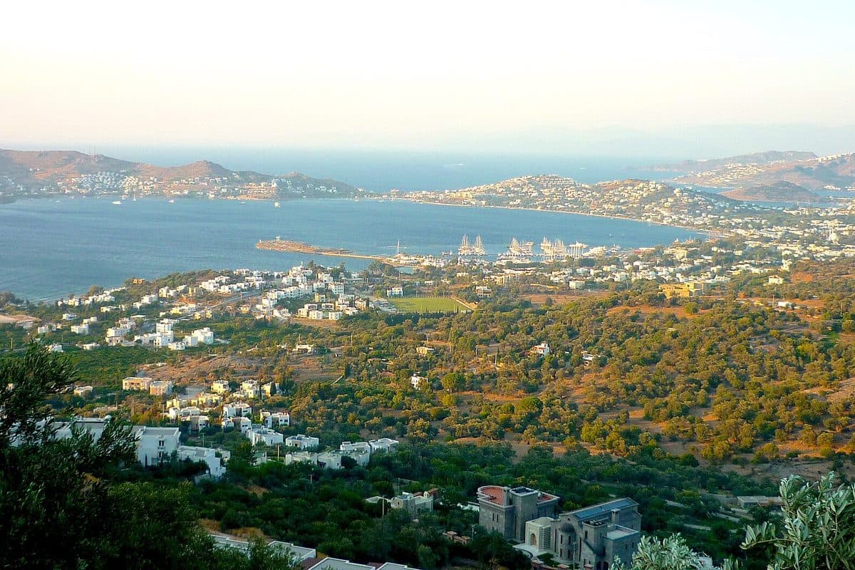Yalıkavak Transfer ab Izmir Adnan Menderes Airport: Ankunftsguide (2 Std 20 Min) — WeCare Transfer