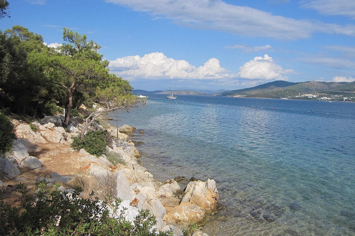 Torba Transfer ab Bodrum Airport: Ankunftsguide (30 Minuten)