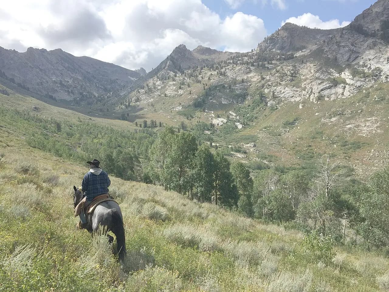 Horseback Riding Antalya Nature — Private Tour with a WeCare Guide